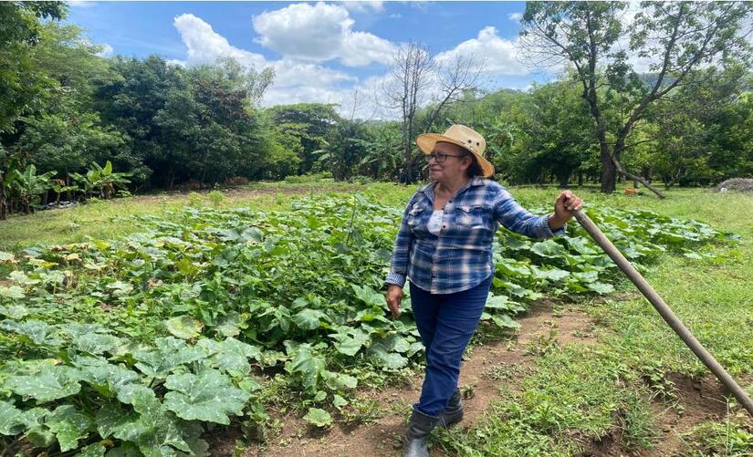 Lo que Aprendimos de Nicaragua sobre Agroecología