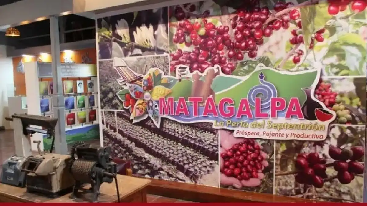 Fiesta del café en Matagalpa, comienza la feria nacional