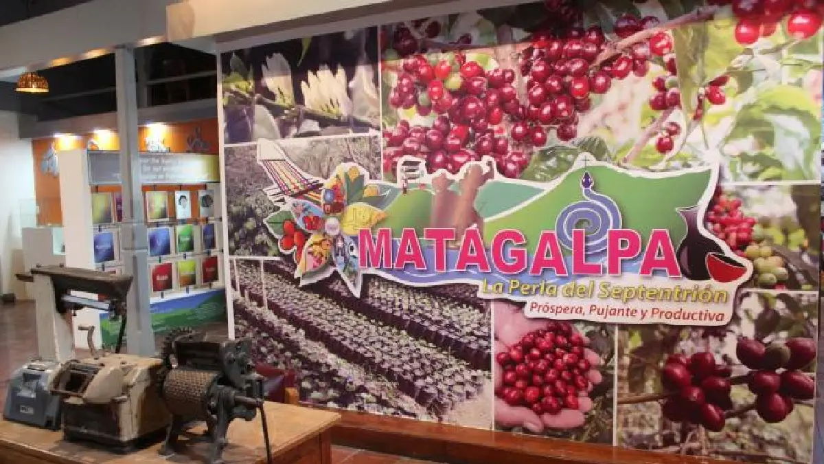 Lanzamiento del programa de la feria nacional del Café en Matagalpa