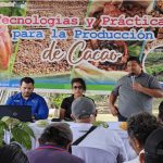 Nicaragua incrementa la calidad del cacao fino y de aromas