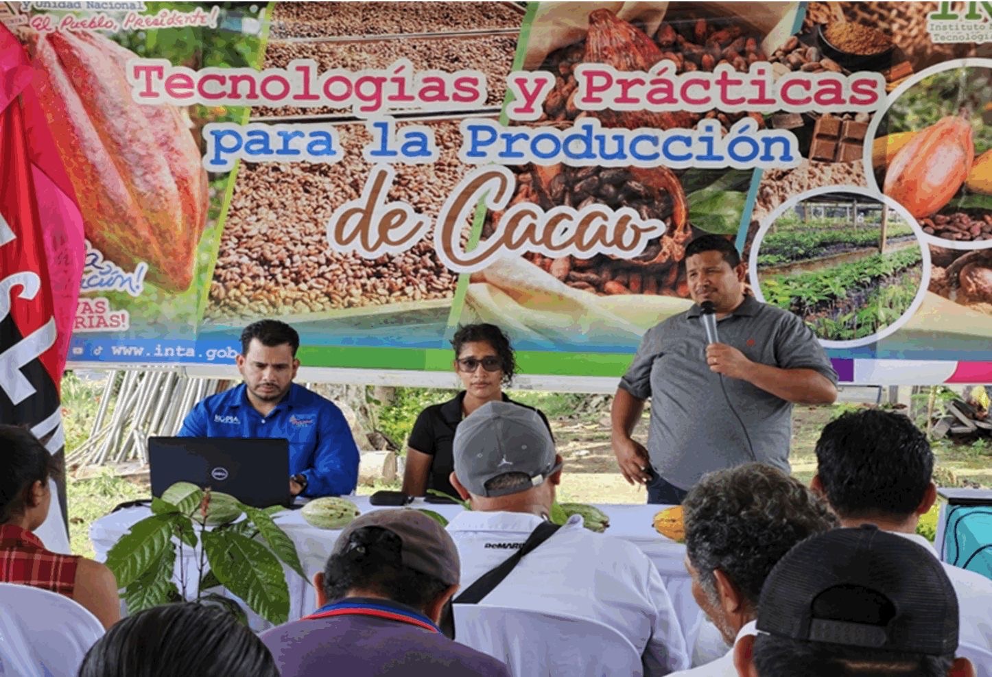 Nicaragua incrementa la calidad del cacao fino y de aromas