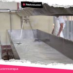 Un total de 15.8 millones de galones de leche se acopiaron en enero en Nicaragua