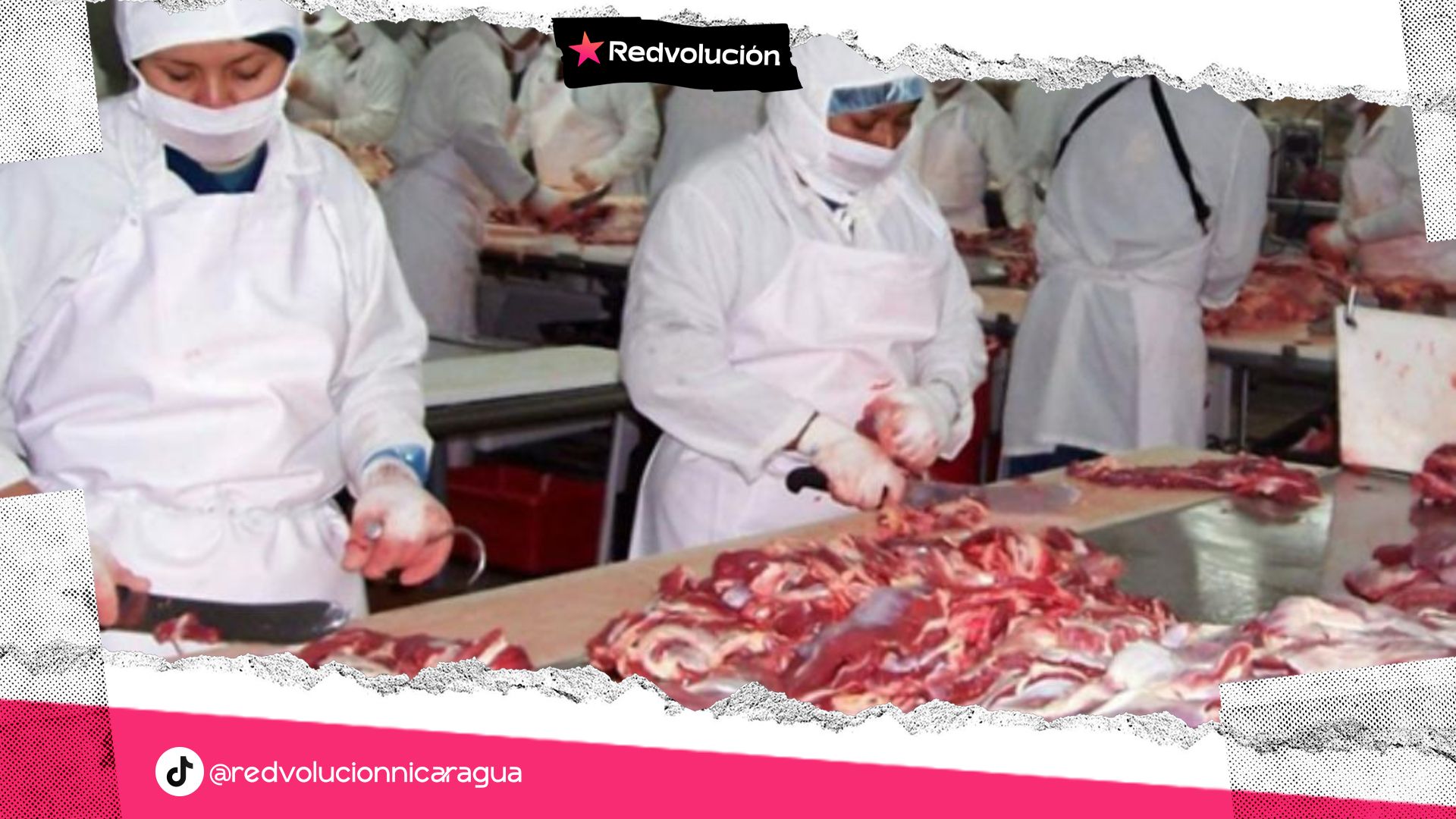 Nicaragua produjo 33.1 millones de libras de Carne Bovina