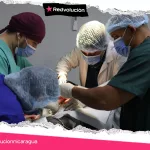 Hospital Veterinario UNA, ha brindado más de 2,800 consultas a diversas especies de mascotas