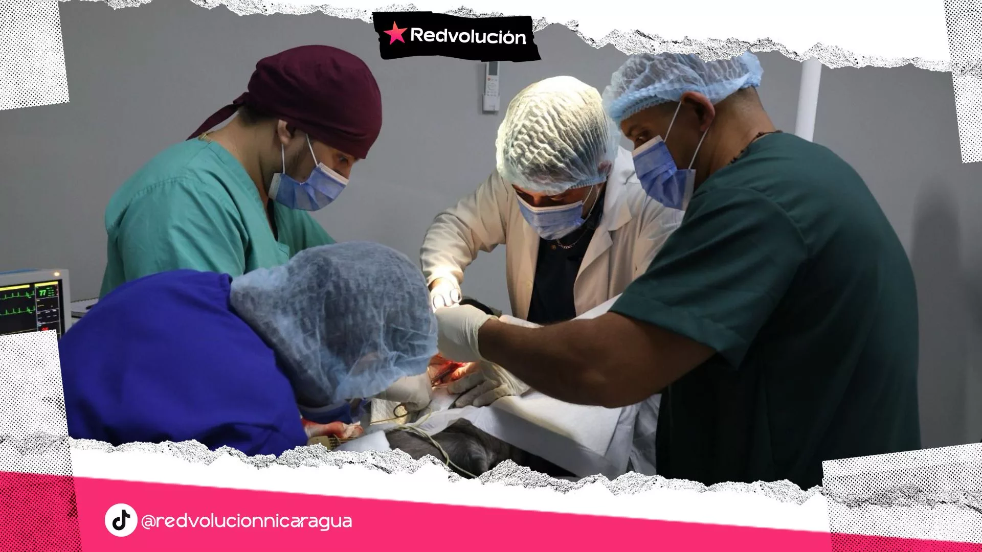 Hospital Veterinario UNA, ha brindado más de 2,800 consultas a diversas especies de mascotas