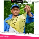 IPSA lanza jornada para prevenir gusano barrenador