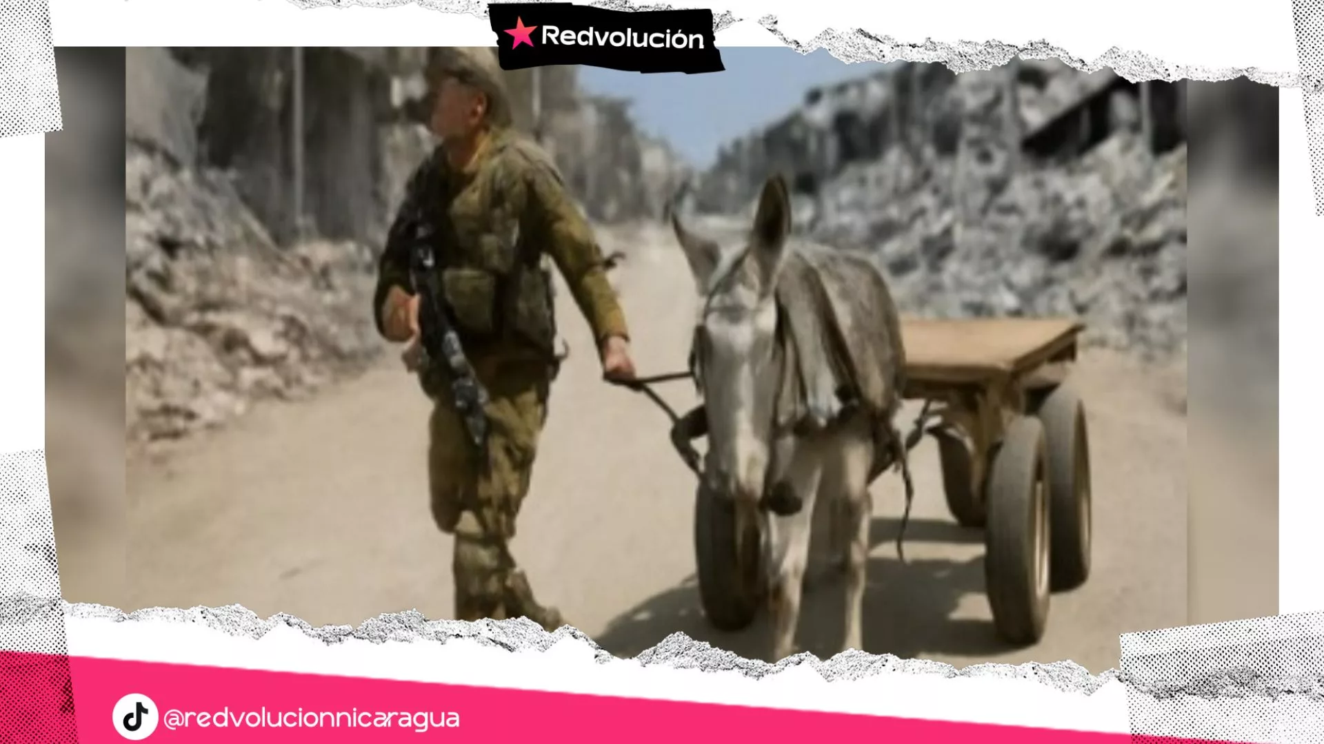 CUANDO LOS BURROS SE CONVIERTEN EN“UNA AMENAZA PARA LA SEGURIDAD”…EL EJÉRCITO DE OCUPACIÓN LANZA SU GUERRA CONTRA LA RESISTENCIA DE GAZA CON RUEDAS DE MADERA Y CUATRO PATAS: