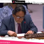 Defendiendo a Palestina Consejo de Seguridad-ONU