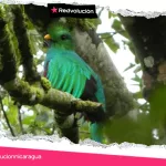 MONITOREO DE BIODIVERSIDAD