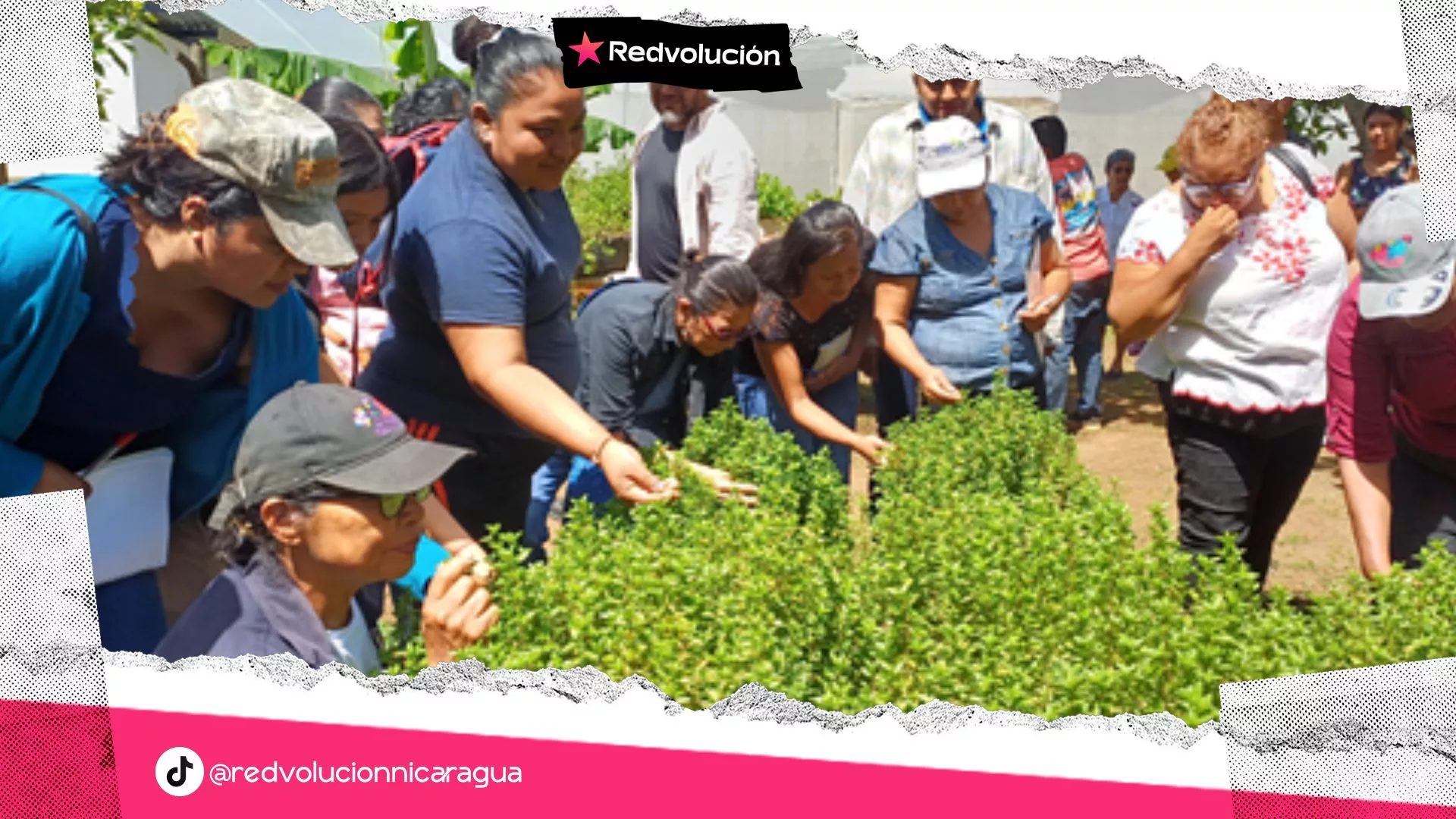MUJERES PRODUCTORAS IMPULSAN EMPRENDIMIENTOS CON PLANTAS