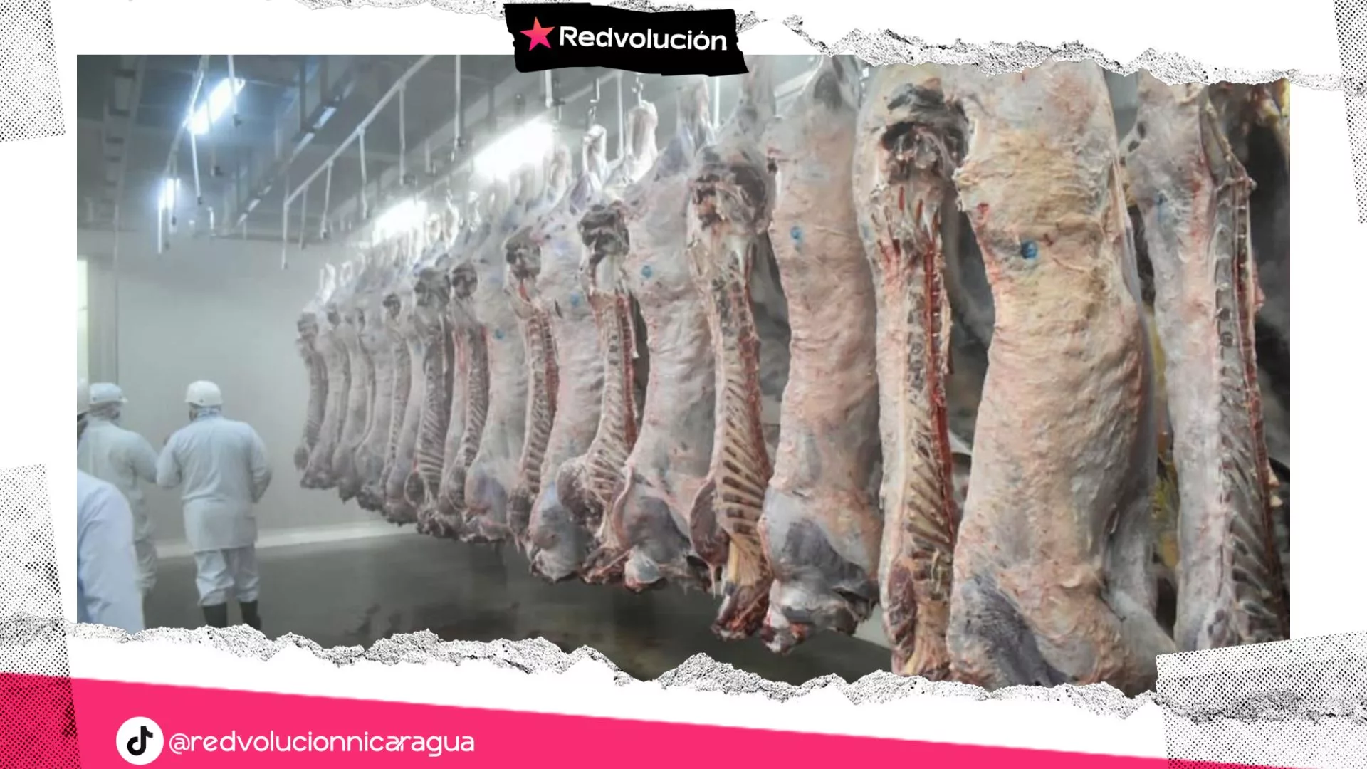 Nicaragua fortalece exportación de carne bovina a la República Popular China