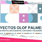 Proyectos Olof Palme