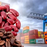 BCN informa aumento de exportaciones y moderado crecimiento de importaciones