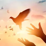 Este 2 de febrero se conmemora en Nicaragua el Día Nacional de la Reconciliación y la Paz