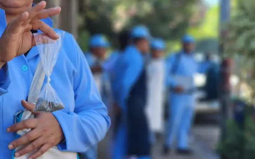 Brigadas de salud ejecutan fumigación y abatización en Villa Austria