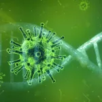 Ministerio de Salud confirma semana sin casos de Covid-19