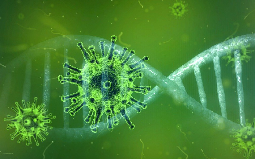 Ministerio de Salud confirma semana sin casos de Covid-19