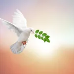 Mensaje de reconocimiento y gratitud de un sacerdote