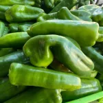 Pequeños y medianos productores impulsan la producción de chiltoma en Nicaragua