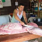 Sector porcino avanza con mejores prácticas y mayor productividad