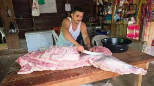 Sector porcino avanza con mejores prácticas y mayor productividad