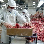 Carne bovina reporta 110.7 millones de libras producidas a marzo de 2026