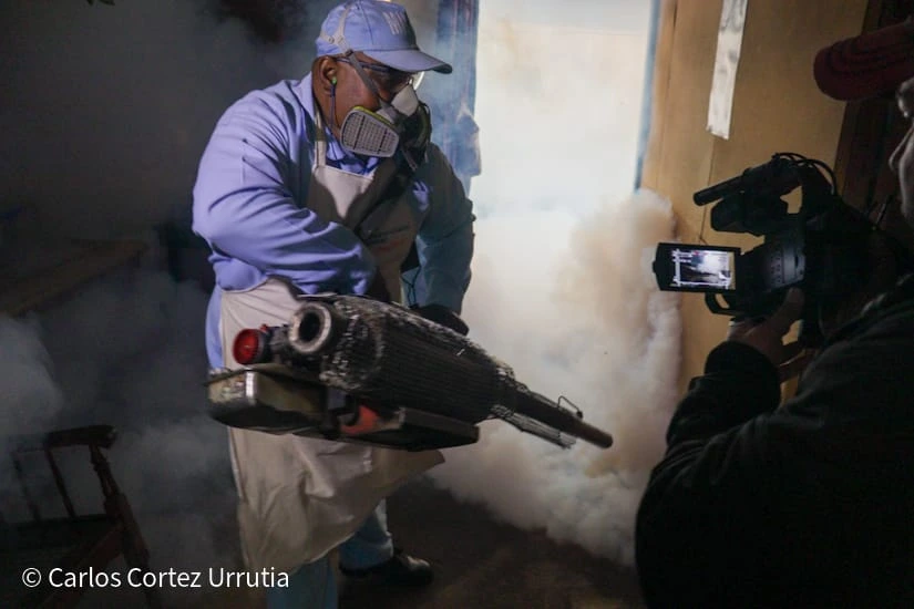 MINSA intensifica fumigación y uso de pastilla natural en jornada contra el zancudo