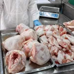 Producción de carne de pollo supera 104 millones de libras al primer trimestre de 2026