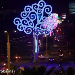 Nuevo Árbol de la Vida rinde homenaje al legado inmortal de Rigoberto López Pérez