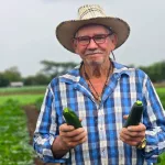 Cultivo de pepino aporta al desarrollo social y la seguridad alimentaria