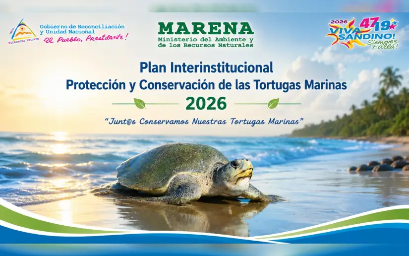 MARENA promueve la protección de las tortugas marinas con jornada técnica de sensibilización