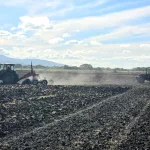 MAG estima una siembra de 30.700 manzanas de arroz para la próxima temporada agrícola