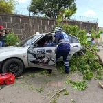 Barrio Salomón Moreno participa en el II Ejercicio Nacional para Proteger la Vida