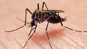 Epidemiología al sábado 13 de junio 2026