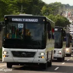 Más buses para Nicaragua: 300 unidades llegarán en las próximas semanas