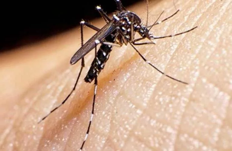 Situación Epidemiológica al Sábado 29 de Agosto