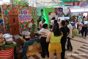 Tradiciones y sabores de 40 países protagonizan la XV edición del Festival Internacional de las Artes