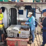 Protección, seguridad e inspección a embarcaciones y flota pesquera industrial en Nicaragua