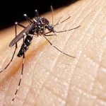 MINSA reporta disminución de malaria e influenza y aumento de neumonía, dengue y chikungunya