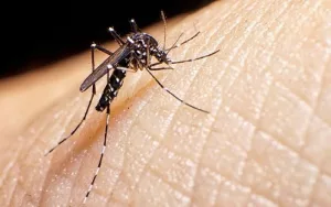 MINSA reporta disminución de malaria e influenza y aumento de neumonía, dengue y chikungunya