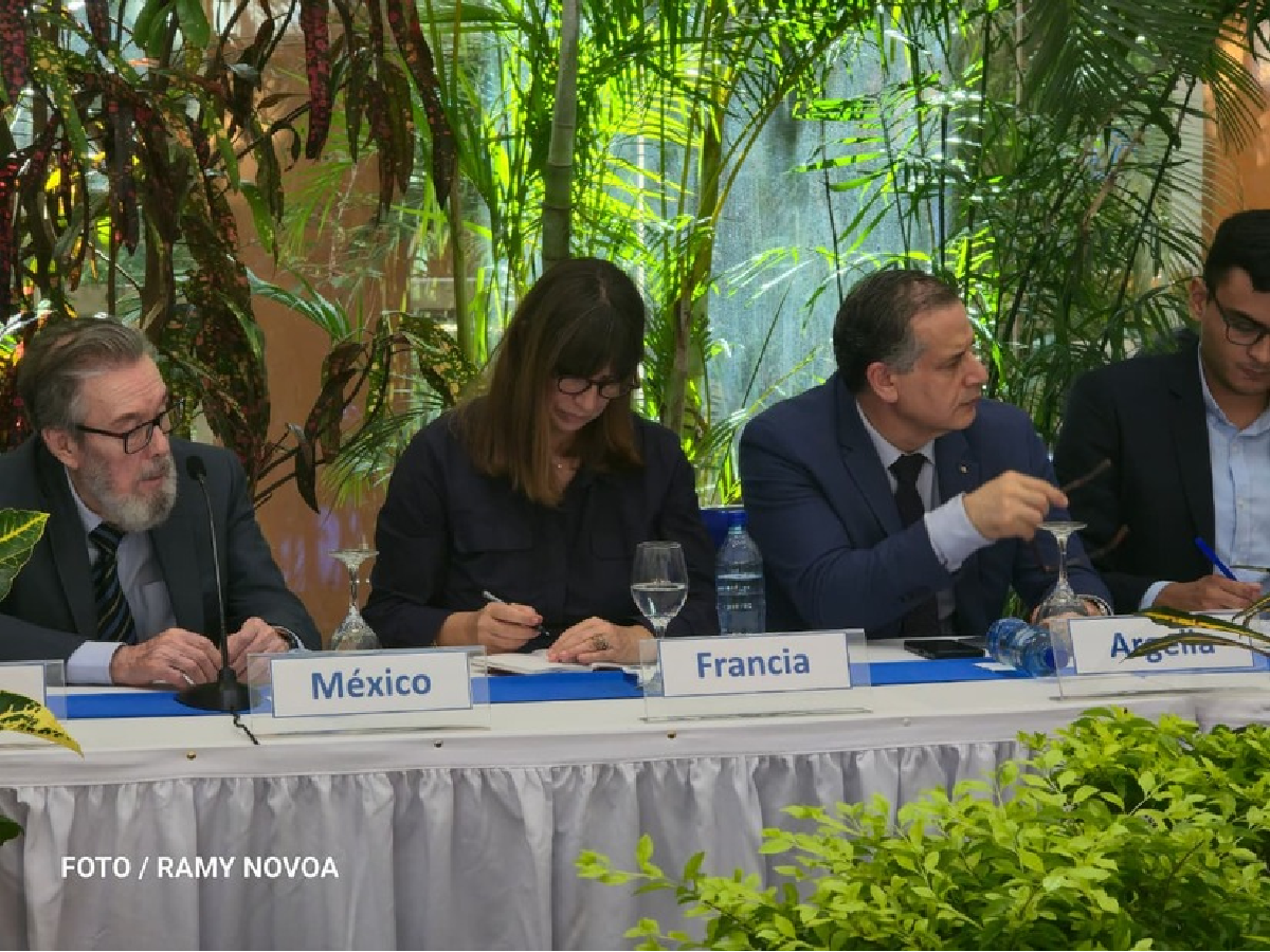 Comisión Especial Constitucional convocará a misiones diplomáticas para presentar avances de “Hay Patria”