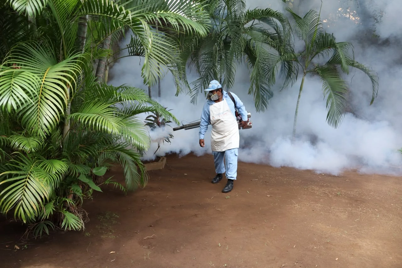 MINSA ejecuta jornada contra criaderos de mosquitos en Bosques de Bolonia