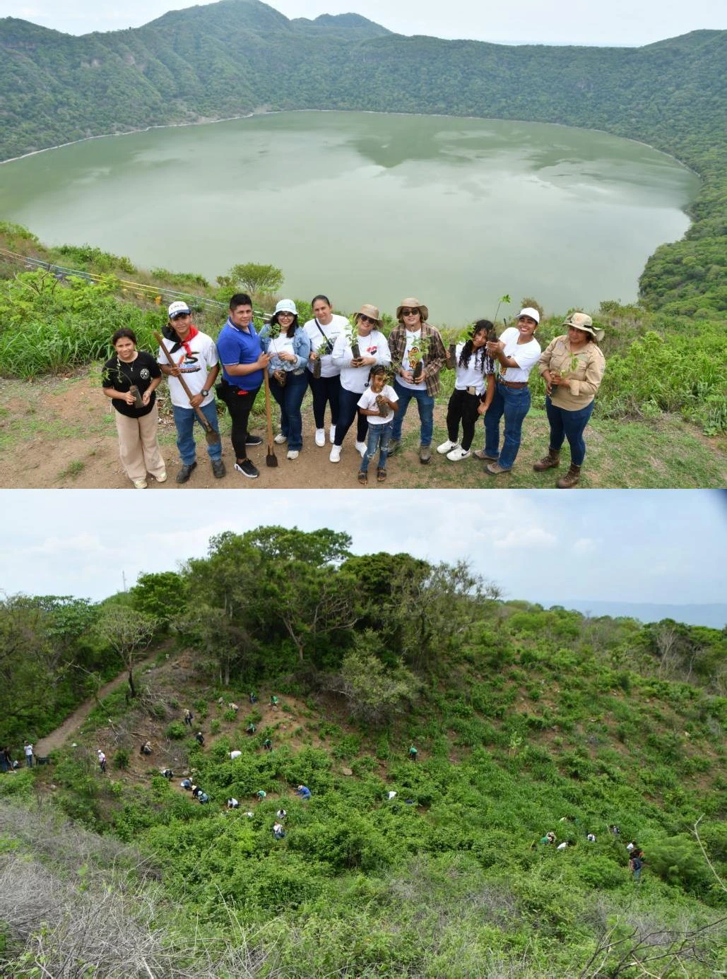 MARENA impulsa reforestación con 1,000 plantas en la Reserva Natural Península de Chiltepe