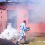 MINSA desarrolla jornada de fumigación y aplicación de larvicidas en el barrio Camilo Ortega Saavedra